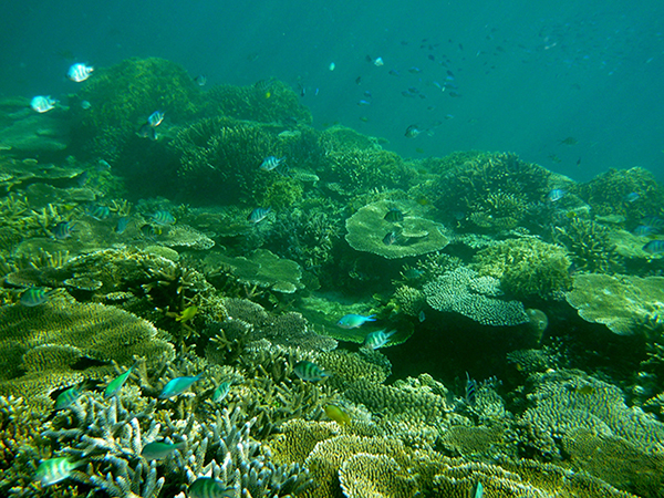 竹富島 東港沖